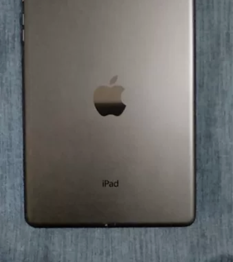 IPad mini1(插卡版16G) 美版...