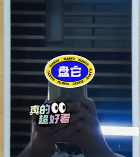 Apple/苹果 iPad mini ip...