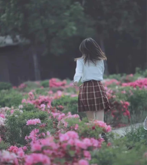 相机数码高清学生入门级女生单反VLOG自拍...