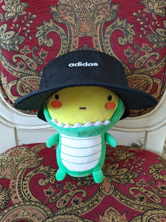 二手/阿迪达斯五片帽