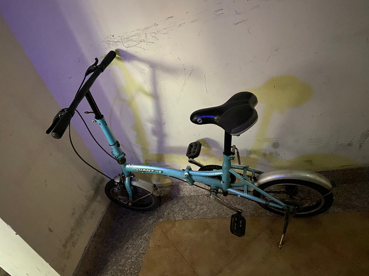 捷安特14寸折叠自行车，轻巧方便，自提