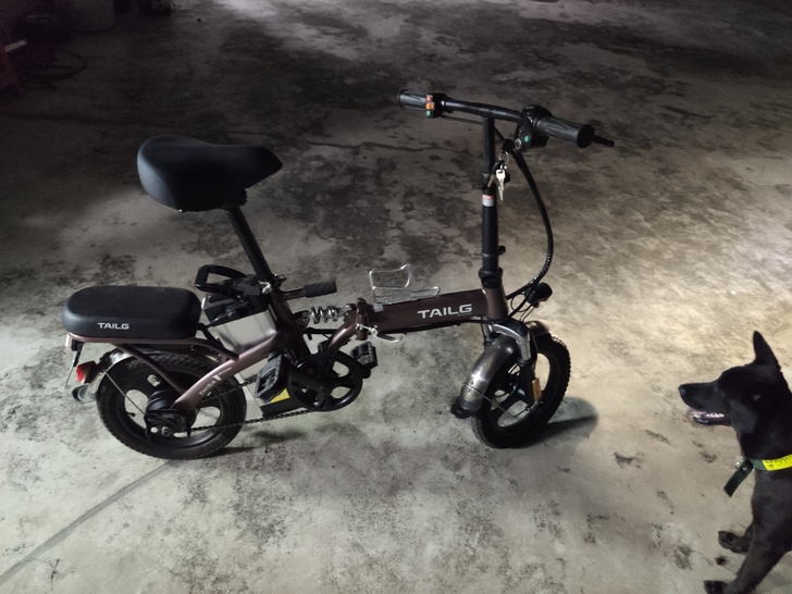 台铃新国标14寸48v电动助力自行车，去年...