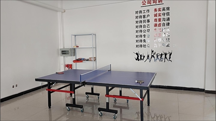 全新乒乓球台家用室内16mm高弹性面板专业...