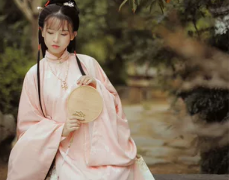 兰若庭 汉服 太平有象 长袄 立领 明制 ...