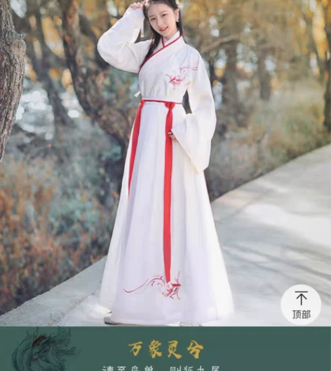 如梦霓裳【万象灵兮】晋制汉服 如图，买回来...