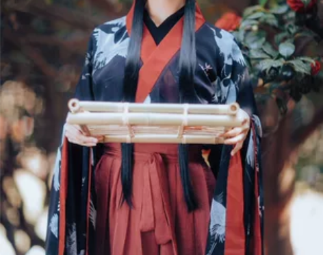 ?兰若庭 汉服 二重衣 大袖 魏晋风 交领...