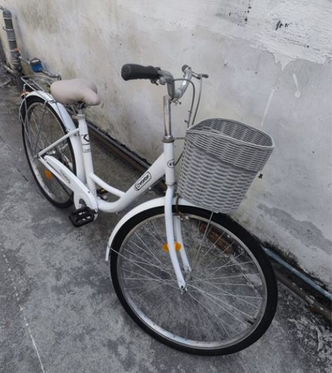 车贝贝，淑女车轻快，好骑 省力，图片实物，...
