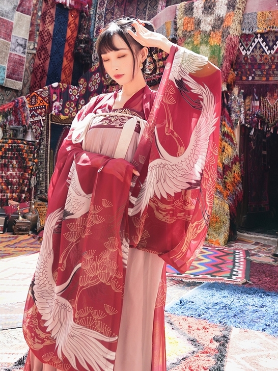 【十三余 小豆蔻儿】[松鹤仙] 仙鹤广袖印...