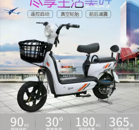 【全新厂家直发】新款成人电动自行车长跑王4...