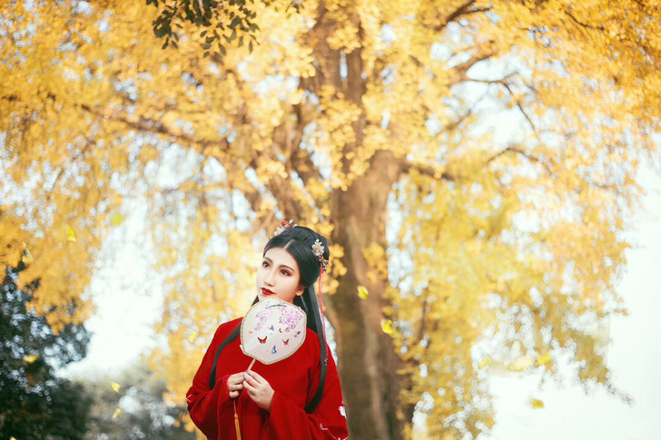 如梦霓裳汉服 袄裙大全套