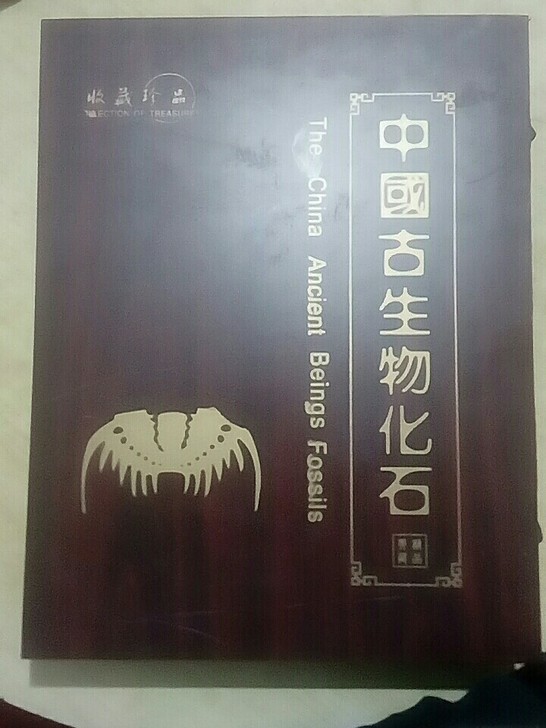 三叶虫化石制作的文房四宝八件套！保真！其中...