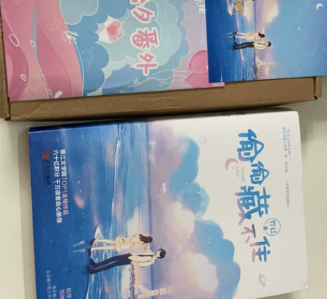 青春文学 如她所愿 桑稚真的成为了段嘉许身...