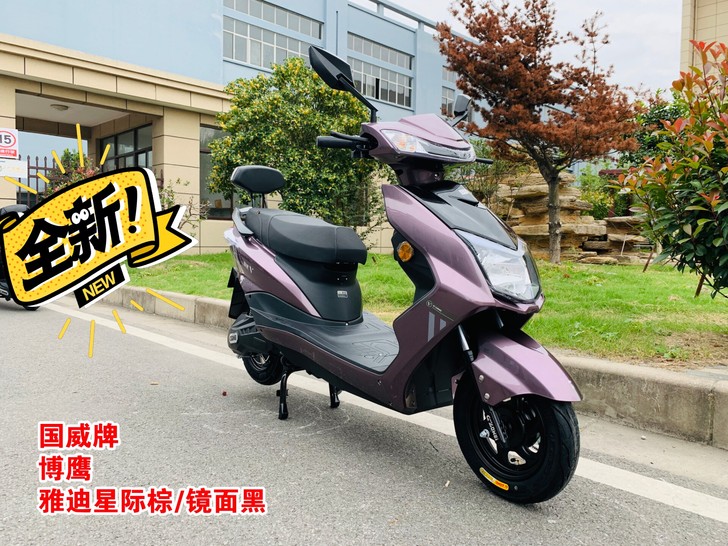 批发 批发 批发国威电动踏板车