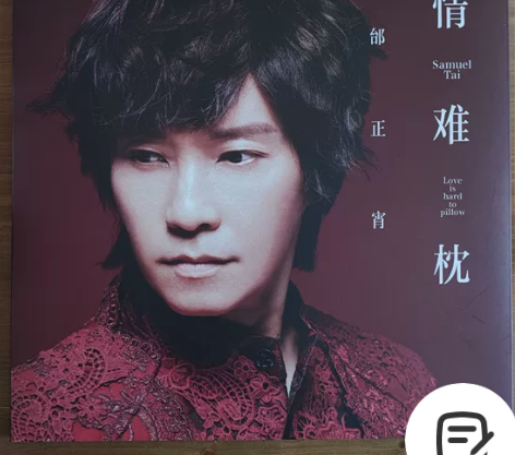邰正宵黑胶唱片《情难枕》，全新仅拆。 感兴...