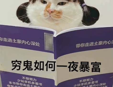 千库网素材！所有素材都能下！ 千库网素材全...