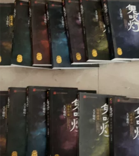 鬼吹灯部分集，一共6本，一本未拆封，视频有...