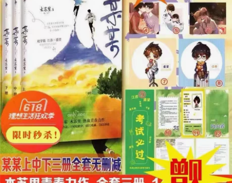校园小说 青春校园小说正版图书某某全套未删...