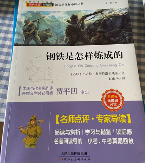 《钢铁是怎样炼成的》贾平凹 全新新书，没看...