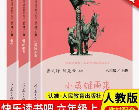 快乐读书吧六年级上册必读课外书全套 小英雄...