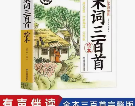 宋词三百首 大字注音彩绘幼儿版 一词一画 ...
