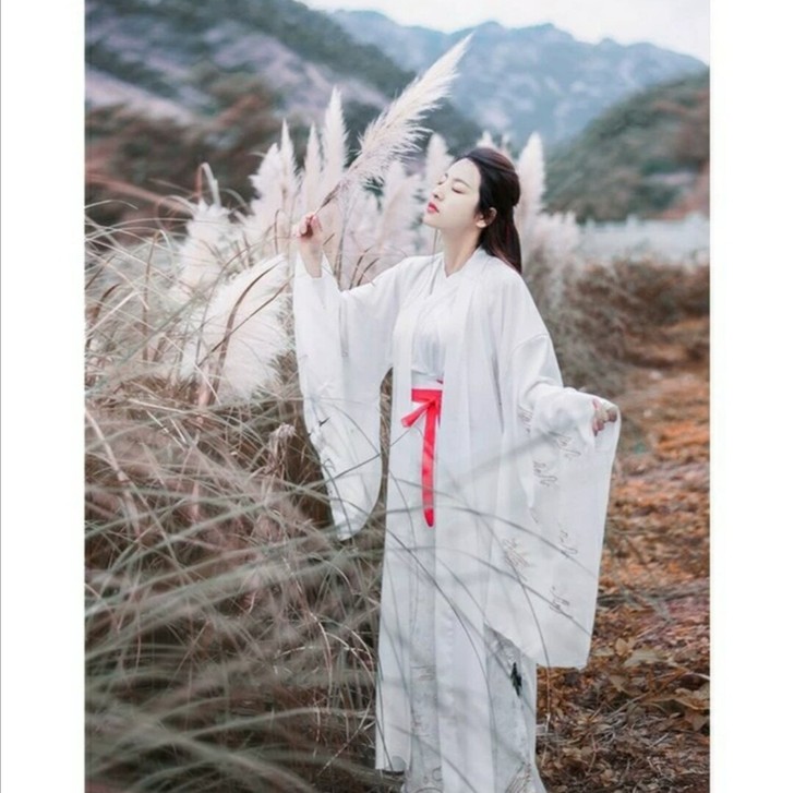 全新出云奔月汉服大袖衫49元转让