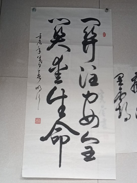 山东临沂书法家张明行精品软片,保真,省级书...