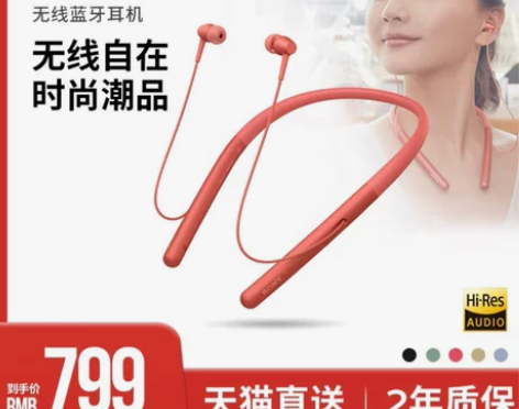 Sony/索尼 WI-H700 入耳式无线...