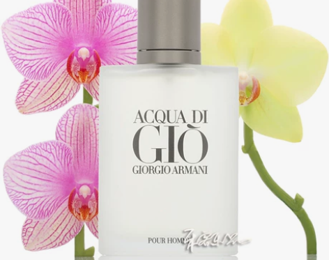 Giorgio Armani GIO 阿玛...