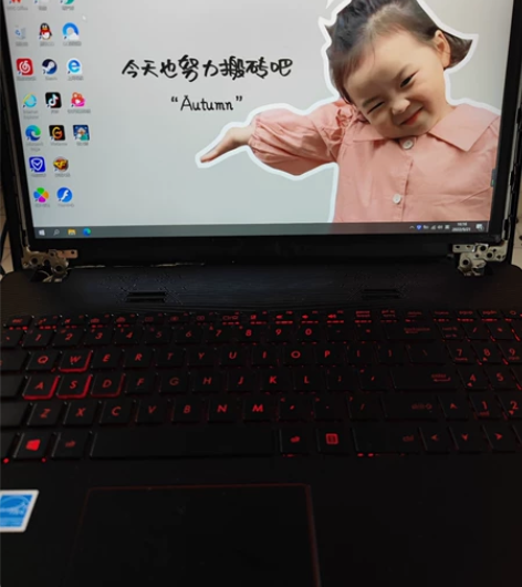 15.6寸笔记本屏幕，华硕FX63屏幕，I...