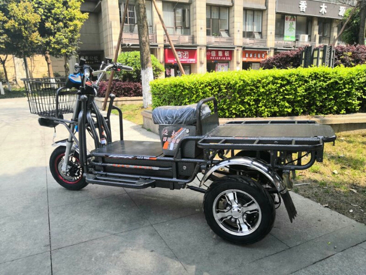 两轮载重王 三轮载重王 电瓶车 电动车72...