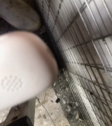 布奇布奇词典笔 屏幕不显示,拆开没发现什么...
