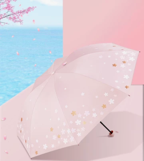 天堂伞正品全新清仓包邮 授权经销商清理库存...