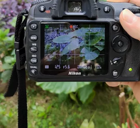 自用尼康D90单反18-105套机（含原装...