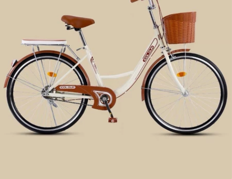 初中生学生自行车 东营利津本地出 女通勤上...