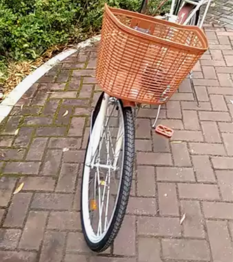 凤凰7速变速车通勤车运动流汗减脂减胖有苗条...