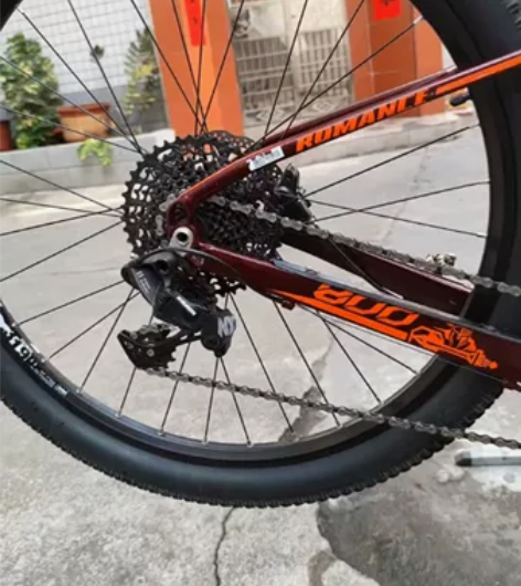 自己装的，喜德盛传奇800的车架，尺寸15...