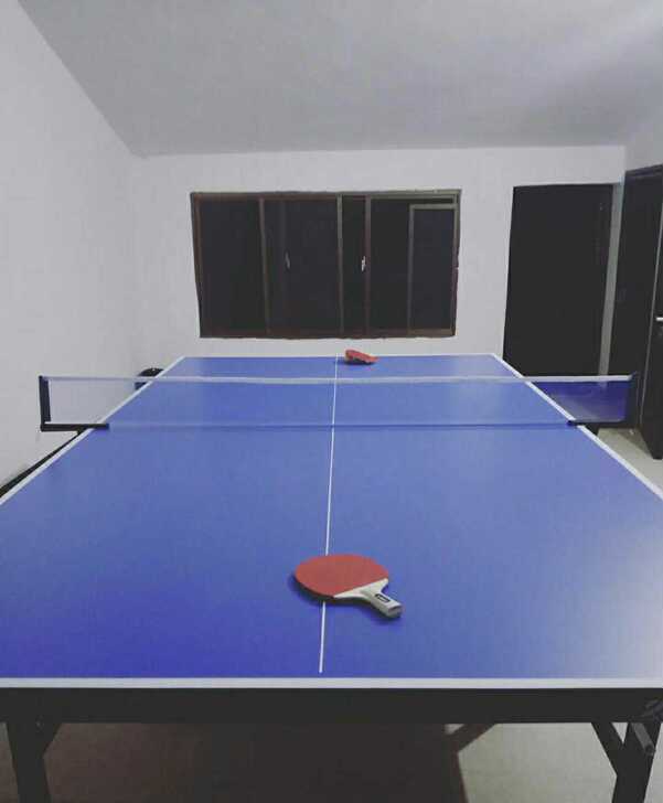 【捡漏价】公司多采购的一批乒乓球桌球台家用...