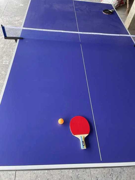 捡漏了！全新室内乒乓球台乒乓球桌家用乒乓球...