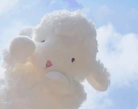 上海曹杨二中附属江桥实验中学，春秋装校服，...