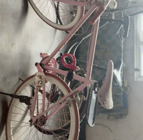 安了刹车，纯粉色死飞，自带粉色的锁。只骑过...