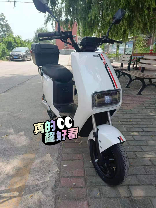 出售自用【全新】电动车 电动自行车白牌,小...