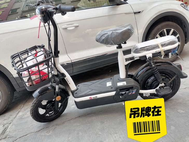 新车,台铃电动车,大厂原装正品,刚买的,由...