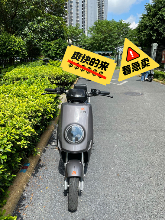 特价60伏电动车国标车，