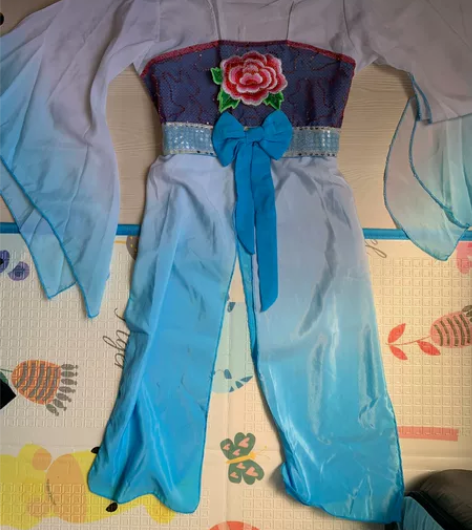 舞蹈服演出服古装 有裤子，很新。
