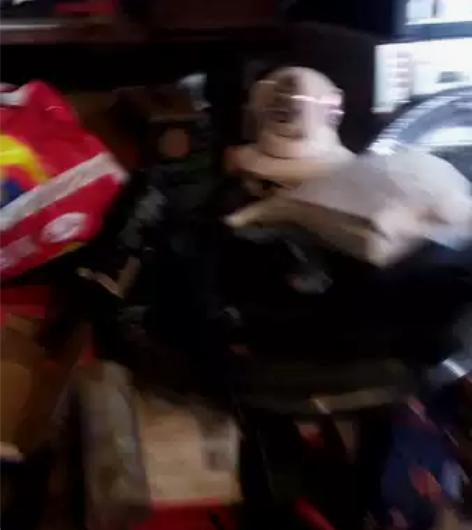 二手老物品,老电影机,老唱片几,老落地钟,...