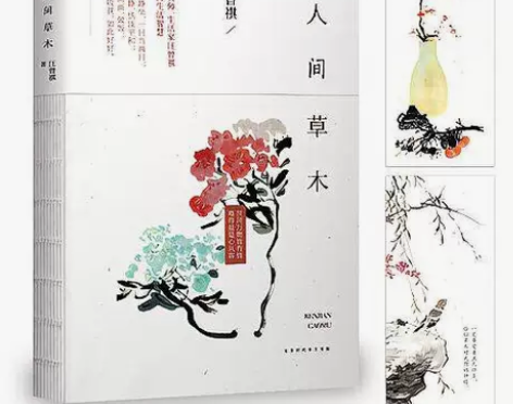 人间草木 散文书籍散文集汪曾祺经典散文集...