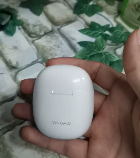 白色唐麦W9耳机，右耳充电仓完好 感兴趣的...