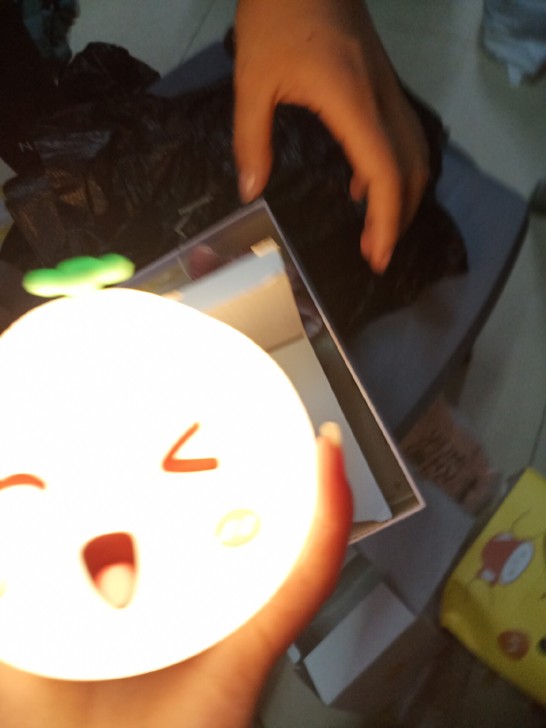 089 0055小夜灯前男友送的，全新包邮...