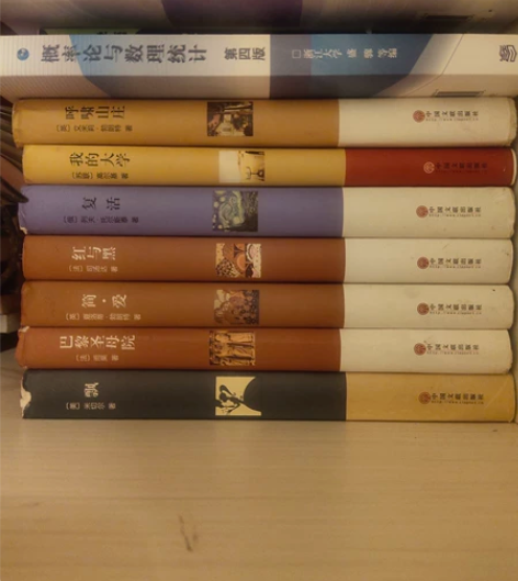 我的大学 在人间  复活 飘 巴黎圣母院 ...