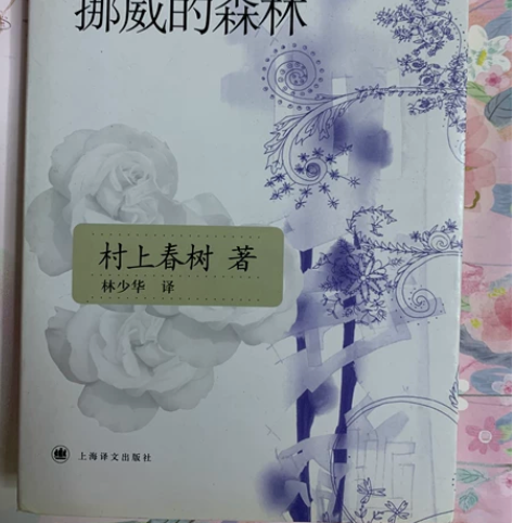 《挪威的森林》村上春树 林少华译 感兴趣的...